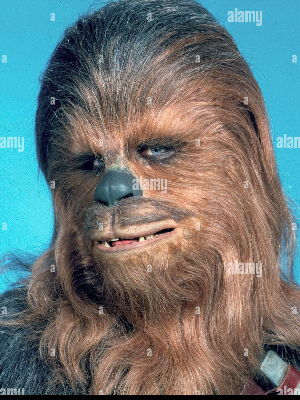 Jesus Loves Chewbacca Too.